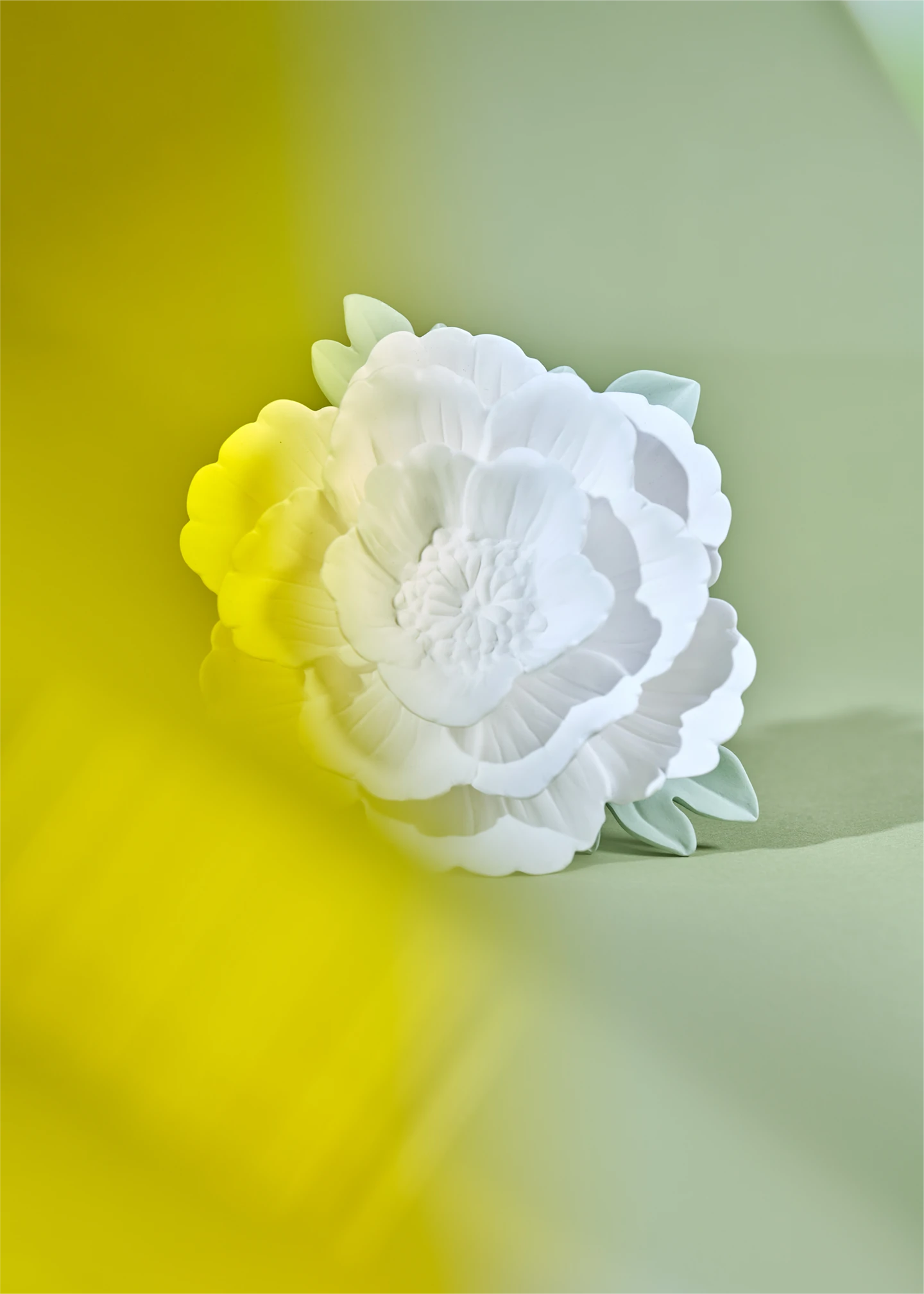 Multi-Material Expertise & Full-Scale Collections
